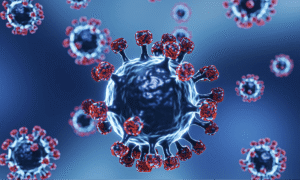 3D illustration of the RSV virus shown in close-up, highlighting its surface structure.